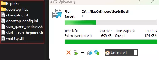 Valheim_MoveBepinSFTP.webp