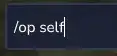 Hytale_OPSelf.webp
