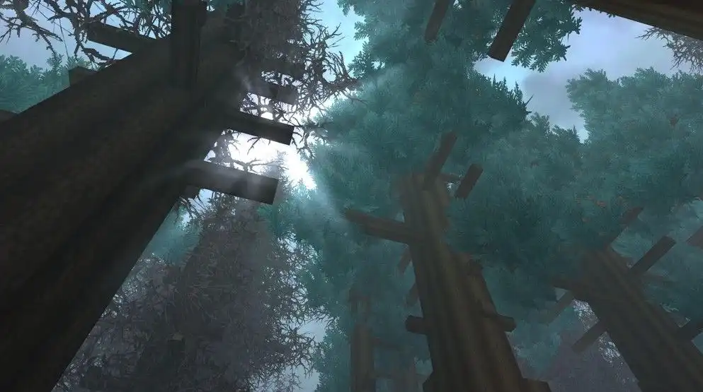 Hytale_PineForests.webp