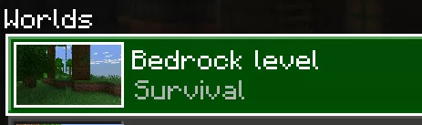 Bedrock_CreateNewWorld_Play.webp
