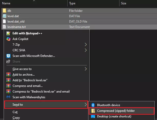 Bedrock_Shaders_WorldExtractZip.webp