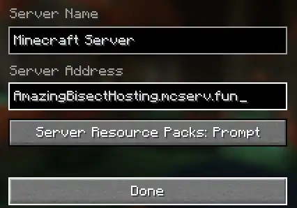 Minecraft_GetSockOptSubdomainDone.webp