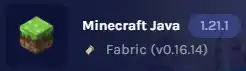 Minecraft_GetSockOptVersions.webp