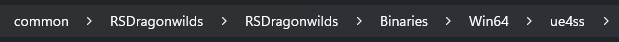 RSDW_LocalWin64Directory.webp
