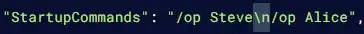 Vintage_ConfigStartupCommandsAdmins.webp