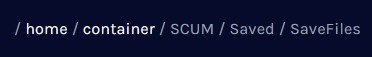 SCUM_SavePath.webp