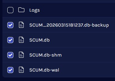 SCUM_DeleteSaveFilesServer.webp