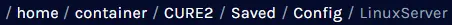 CodenameCure2_DirLinuxServer.webp
