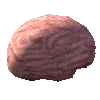 Abiotic_HumanBrain.webp