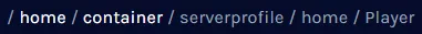 Arma3_ServerProfilePlayer.webp