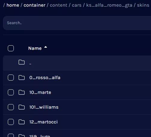 Assetto_CarSkinNames.webp