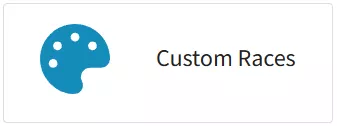 Assetto_CustomRaces.webp