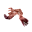 Conan_FeralFlesh.webp