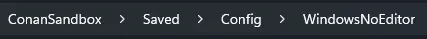 Conan_WindowsEditorLocal.webp