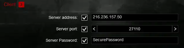 DayZ_InputServerInfo.png