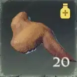 Viande d'oiseau d'Enshrouded