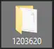 ES_EnshroudedGameFolderUserdata.PNG