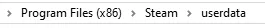 Enshrouded_UserdataLocal.webp