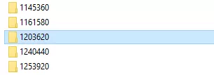 Enshrouded_UserDataFolder.webp