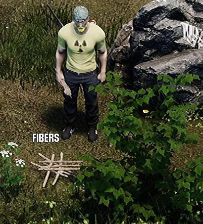 HumanitZ_GameFiberGather.webp
