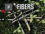 HumanitZ_GameFiber.webp