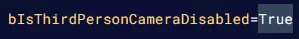 Mordhau_PersonCameraDisabledTrue.webp