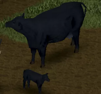 PZ_Cow.webp