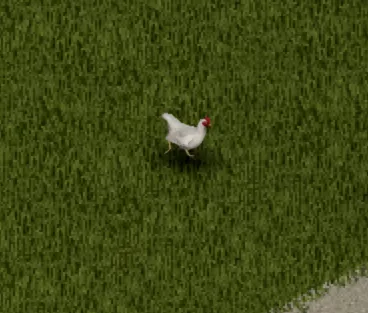 PZ_Chicken.webp