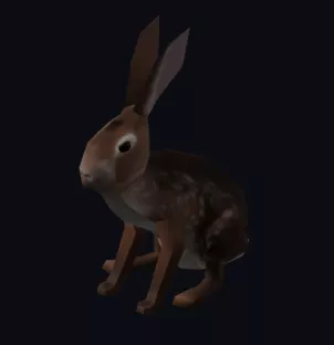 PZ_Rabbit.webp