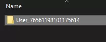 Raft_LocalUserID.webp