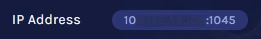 Satisfactory_IPAddress.webp