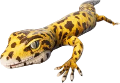 Smalland_Gecko.webp