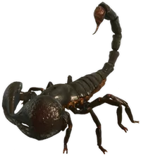 Smalland_Scorpion.webp