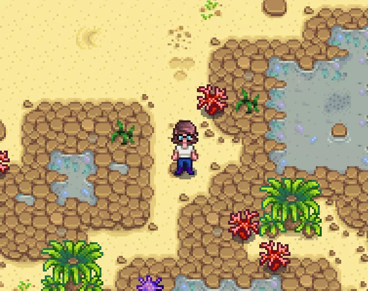 Stardew Valley'de gelgit havuzları