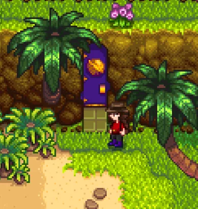 Stardew_Locations_QiWalnutEntrance.webp