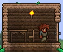 Terraria_NPCHouse_PlaceFurniture.webp