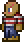 Terraria_Pirate_Deckhand.webp