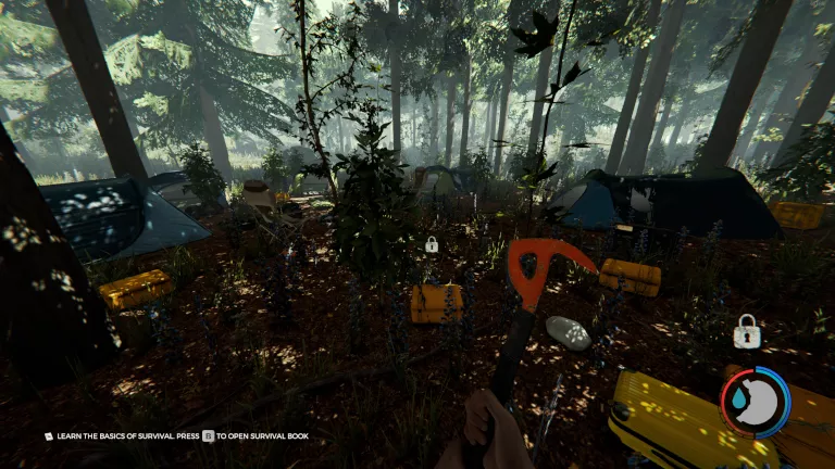 TheForest_FilmCamp.webp