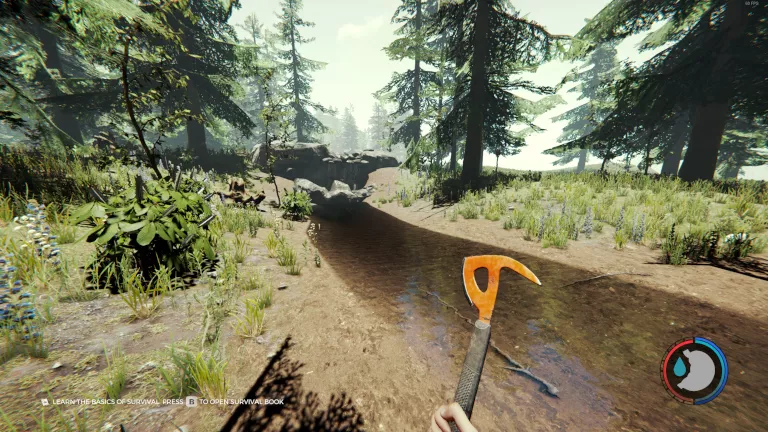 TheForest_AboveRocks.webp