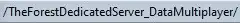 TheForest_ForestFTPDir.webp