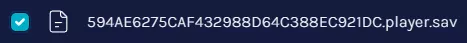 TheFront_SelectPlayerSaves.webp