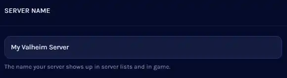 Valheim_ServerName.webp