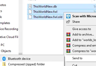 Valheim_selectAllFiles.webp
