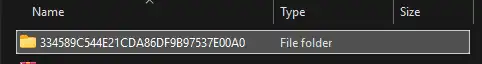 VoN_OpenTheLocalSaveFolder.webp