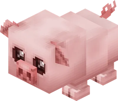 Hytale_Capture_List_Piglet.webp