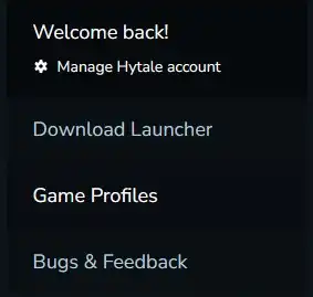 Hytale_GameProfiles.webp