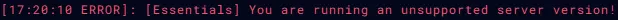 Minecraft_ServerLogs_ERROR.webp
