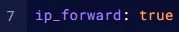 Minecraft_BungeeCord_IPForward.webp
