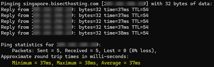 Minecraft_TroubleshootCmdPingResult.webp