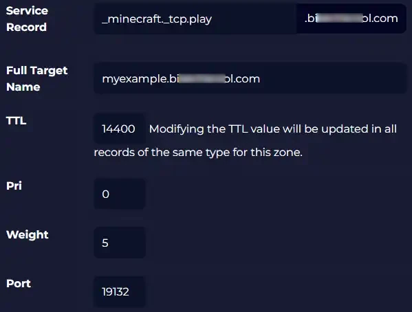 Games_SRVRecordExample2.webp